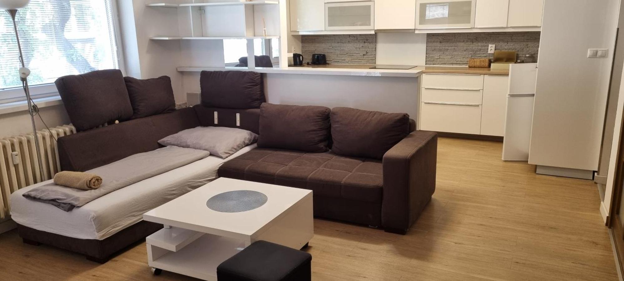 Family Apartman V Centre Mesta Bratislavaアパートメント エクステリア 写真